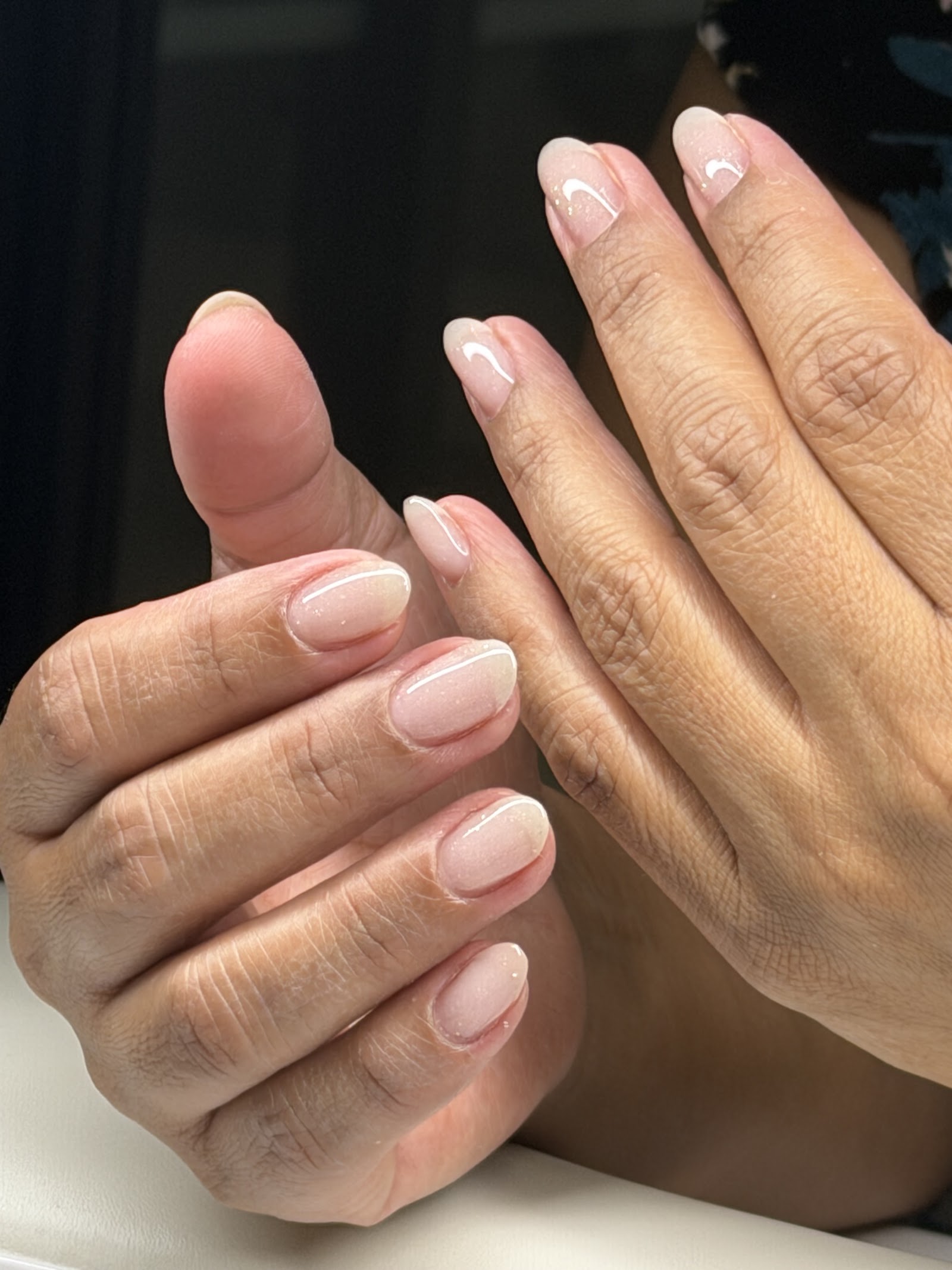 The Nail Art Studio logo